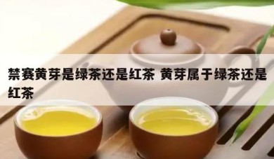 禁赛黄芽是绿茶还是红茶 黄芽属于绿茶还是红茶