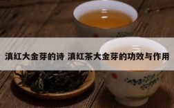 滇红大金芽的诗 滇红茶大金芽的功效与作用