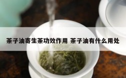 茶子油寄生茶功效作用 茶子油有什么用处