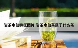 岩茶水仙特征图片 岩茶水仙茶属于什么茶