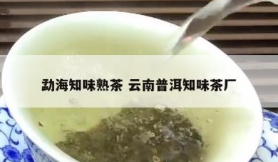 勐海知味熟茶 云南普洱知味茶厂
