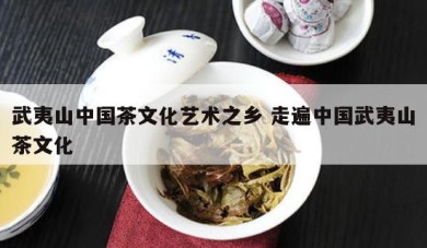 武夷山中国茶文化艺术之乡 走遍中国武夷山茶文化