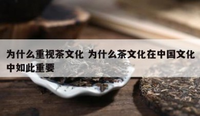 为什么重视茶文化 为什么茶文化在中国文化中如此重要